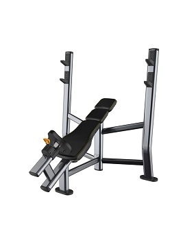 抖奶短视频APP旧版C169上斜臥推架