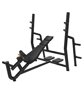 抖奶短视频APP旧版S369上斜臥推架