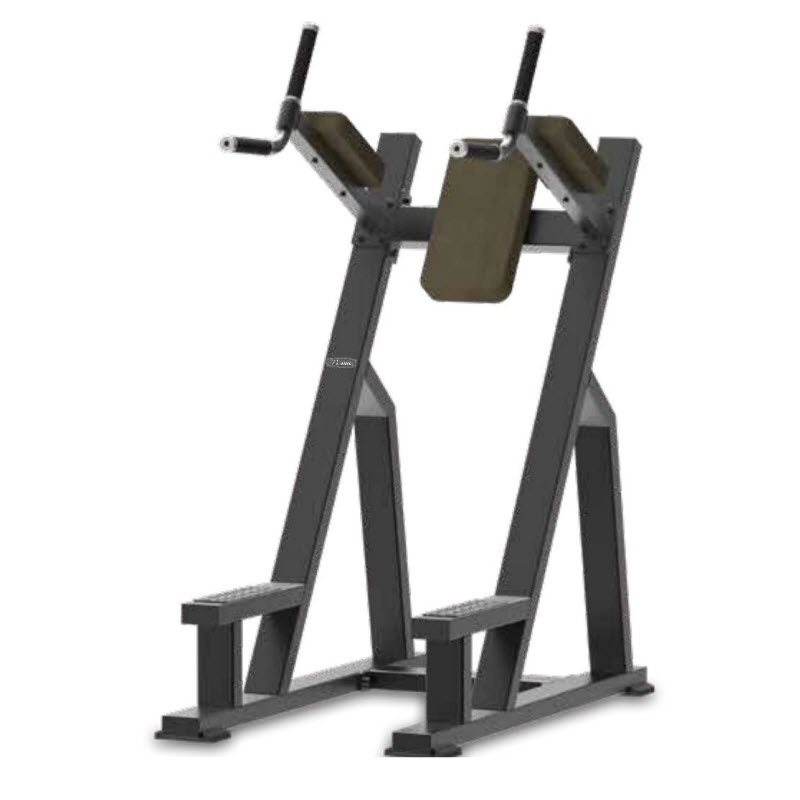 抖奶短视频APP旧版雙杆提膝訓練器FB8027