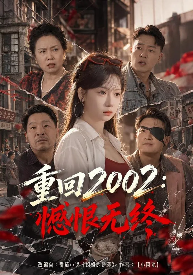 重回2002：憾恨无终